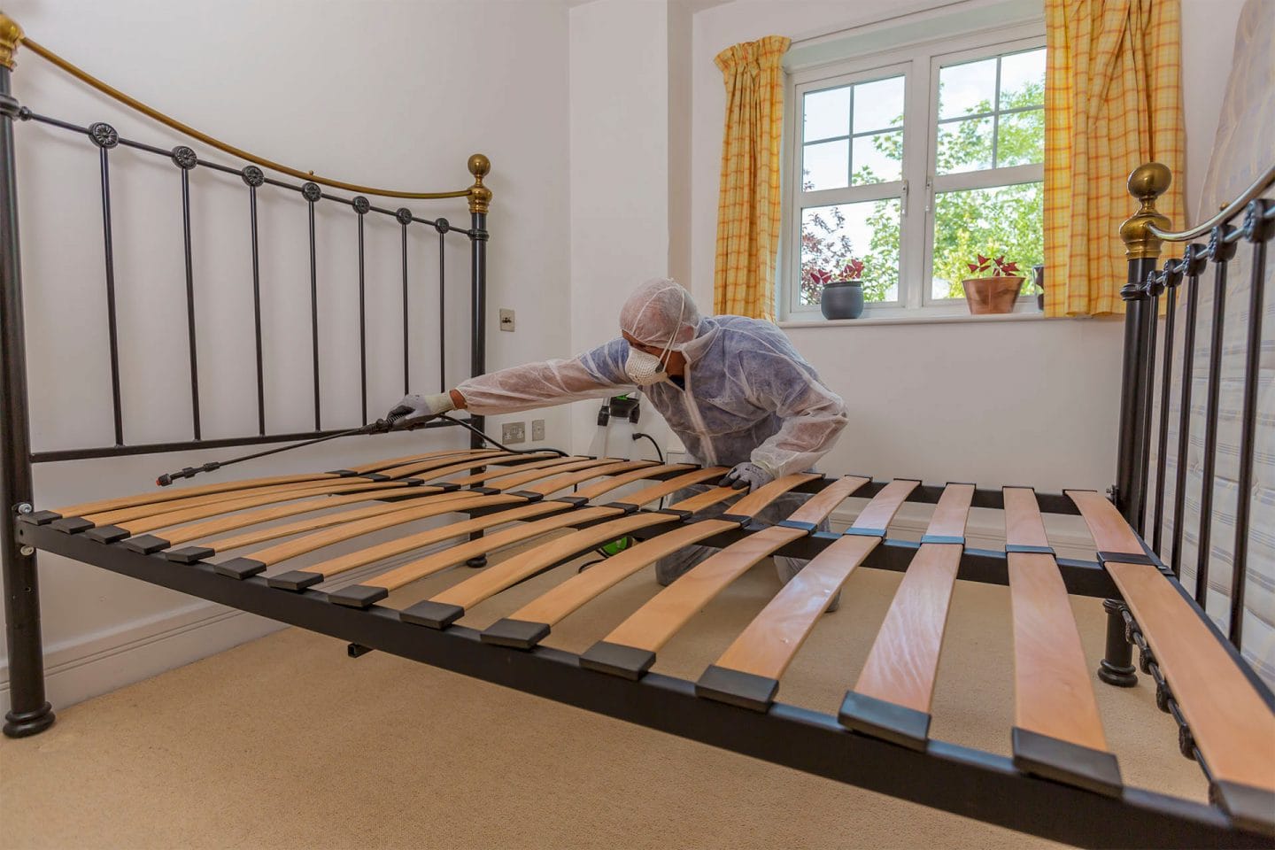 Aspect Pest Control - Bed bug treatment