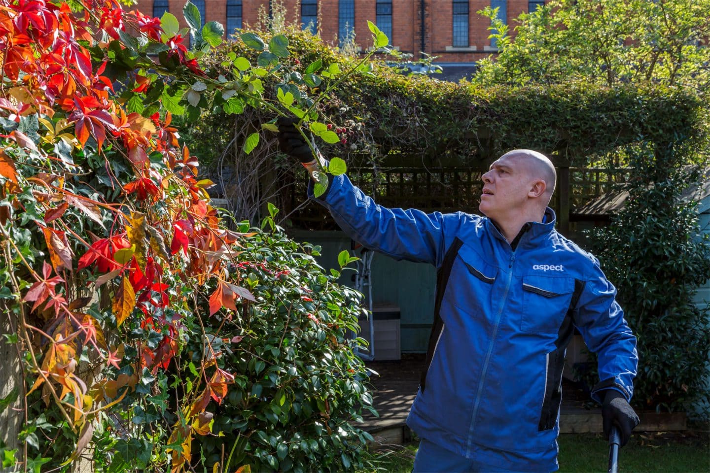 London gardeners on call for all types of garden maintenance