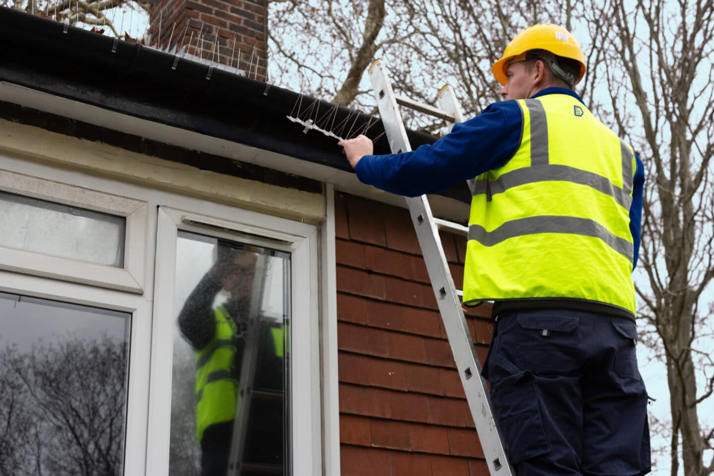 An Aspect tradesperson fixing spikes to roof gutters to deter birds from perching