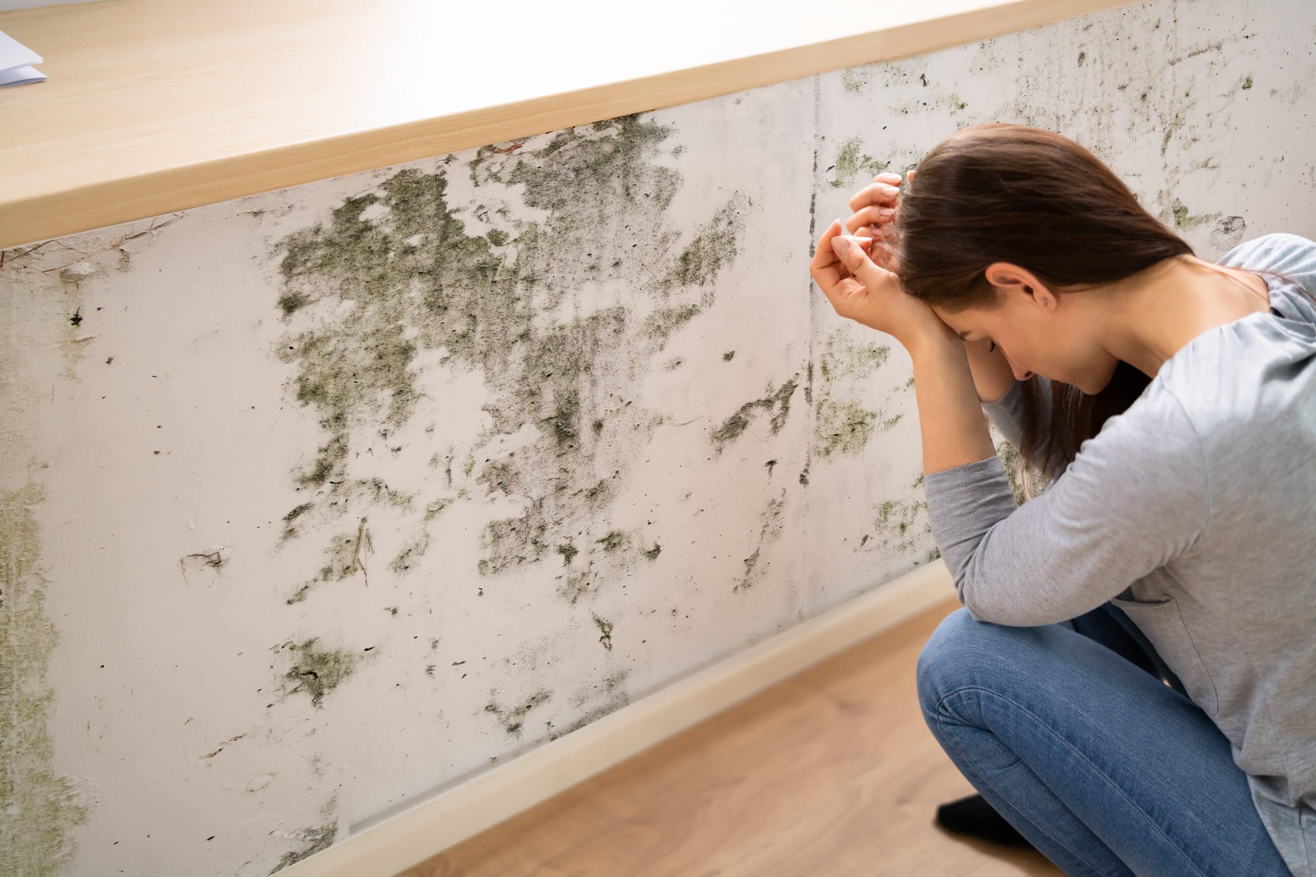 how to get rid of mould on walls