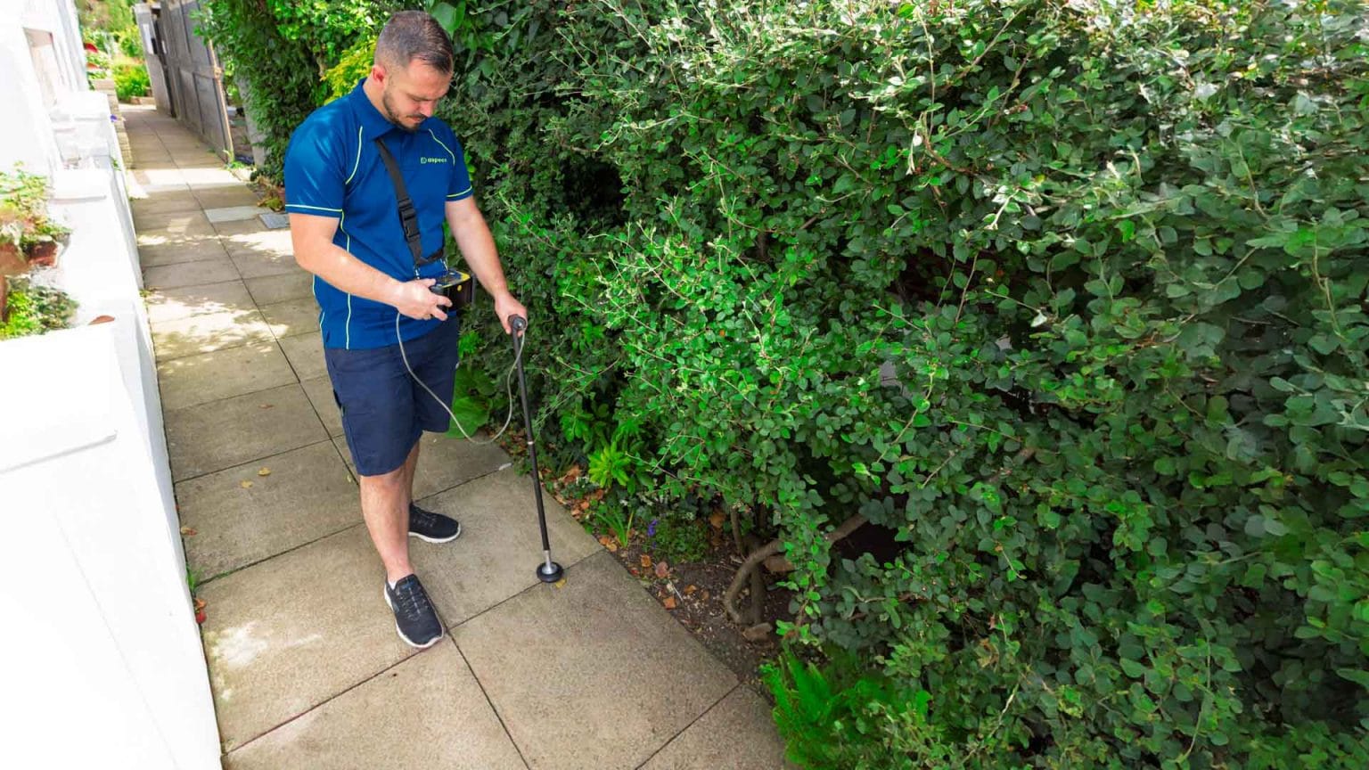 water main leak detection